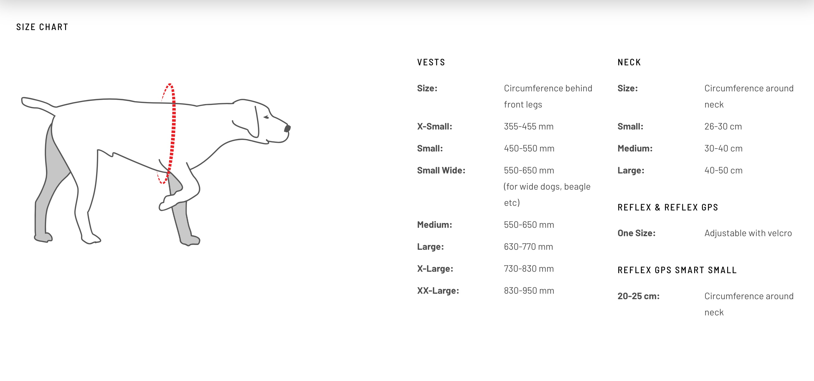 Dogtech - Size Chart