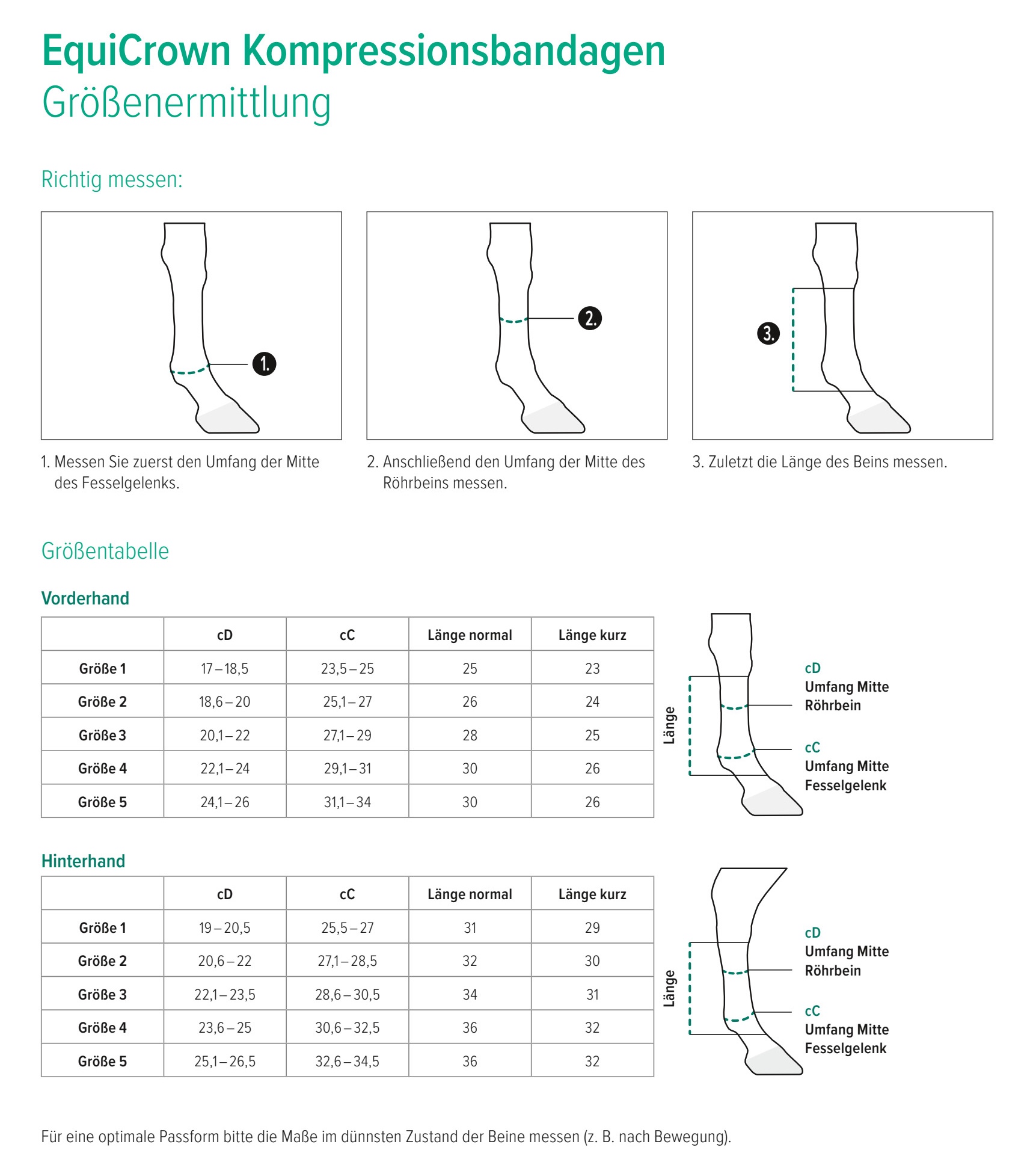 EquiCrown_Kompressionsbandagen
