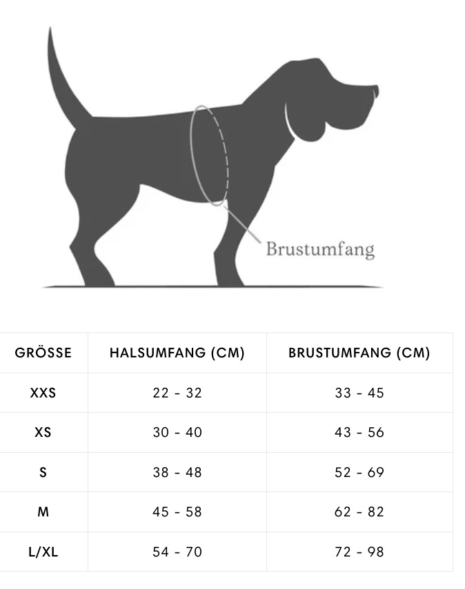 Grössentabelle_Cloud 7_Y-2 Geschirr