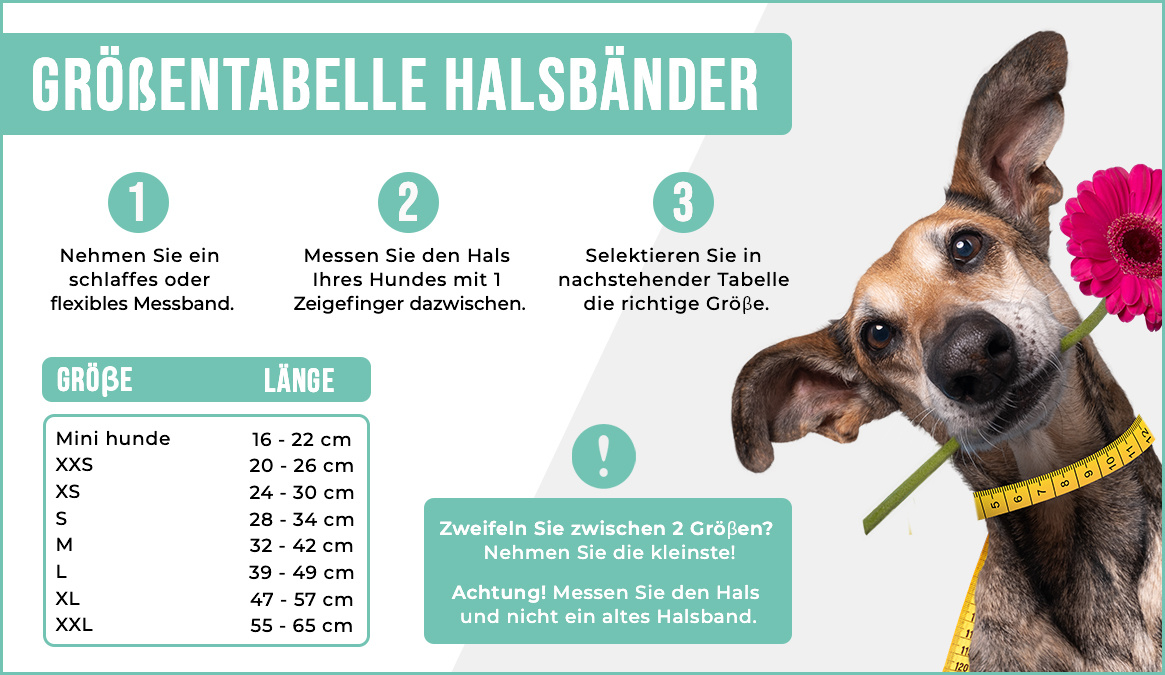 KERBL Collier lumineux pour chien à poils longs vert 65cm