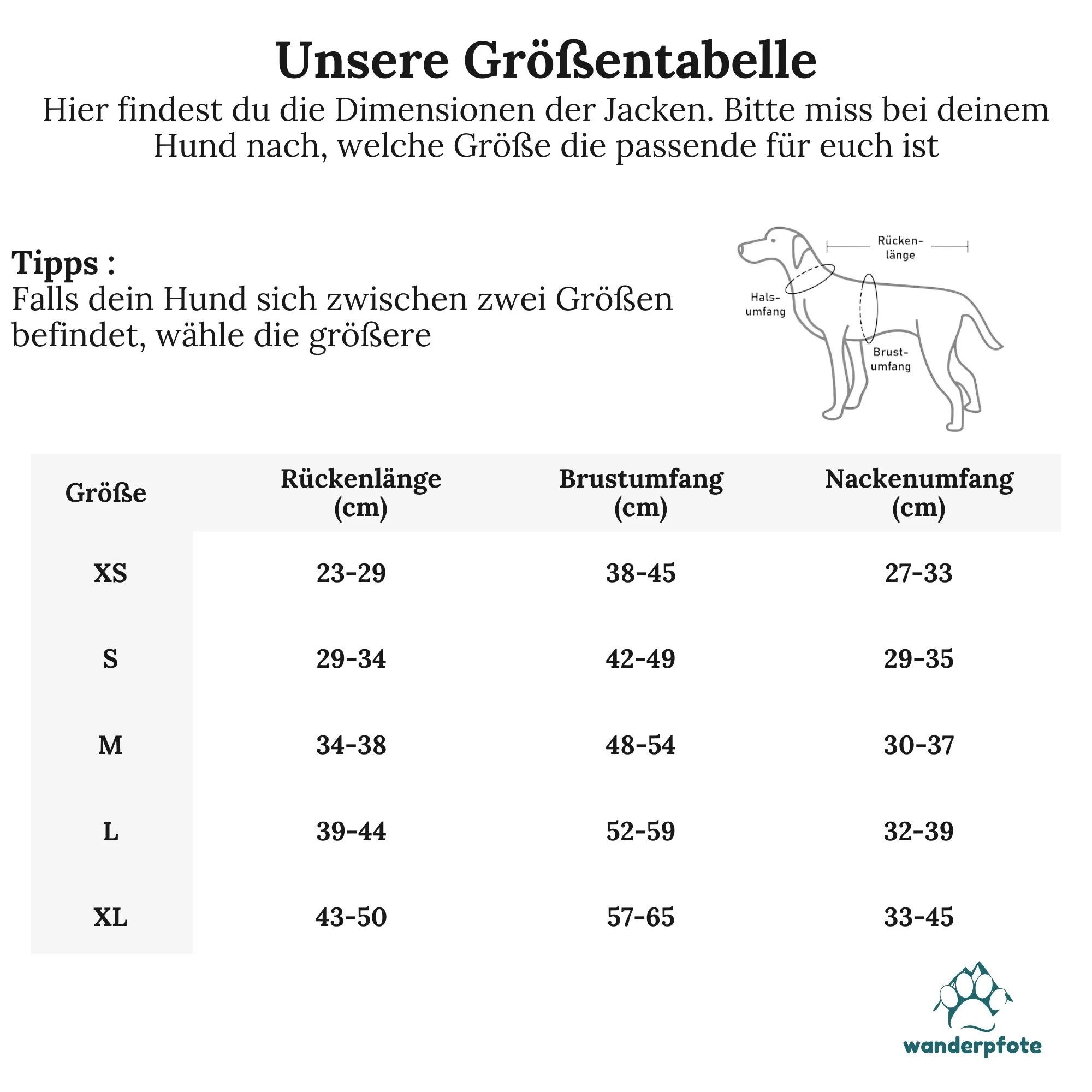 Wanderpfote_Steppjacke für Hunde